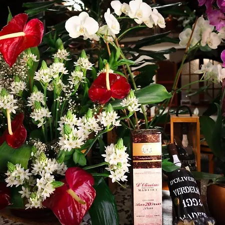 Διαμέρισμα Mio By Homie Φουνκάλ