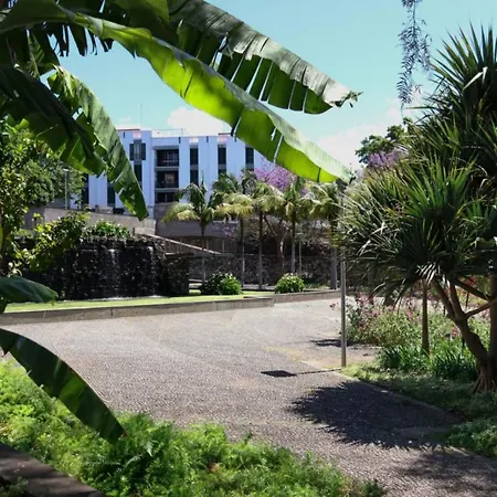Apartamento Mio By Madeira Sun Travel *
